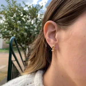 Brinco onça - banhado a ouro 18k